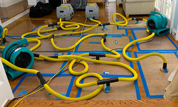 Professional Crawl Space Water Removal technician working in Pierpont, OH